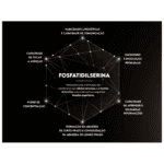 Brain Focus (30 Caps) - Puravida - Imagem 3